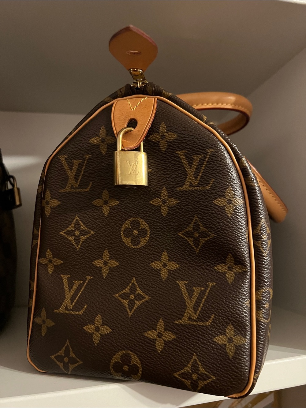 Louis Vuitton Monogram Speedy 25
